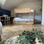 Logis Volcan Sancy Hotel Nébouzat