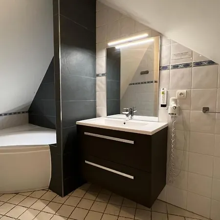 Logis Volcan Sancy Hotel 3*