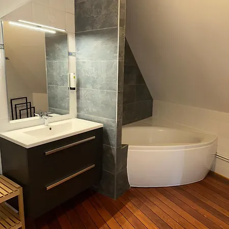 Logis Volcan Sancy Hotel 3*