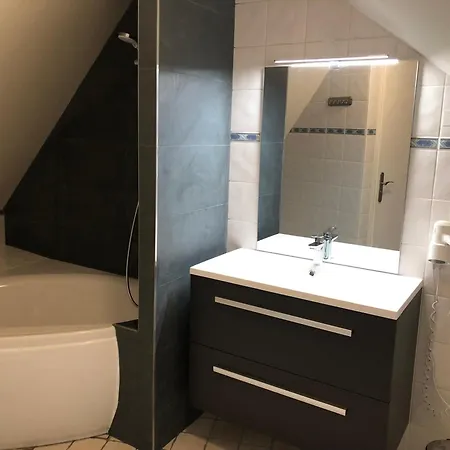 Ξενοδοχείο Logis Restaurant Volcan Sancy 3*