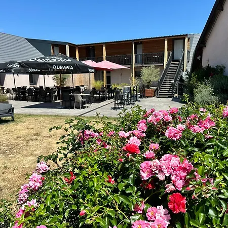 Logis Restaurant Volcan Sancy 3* Nebouzat