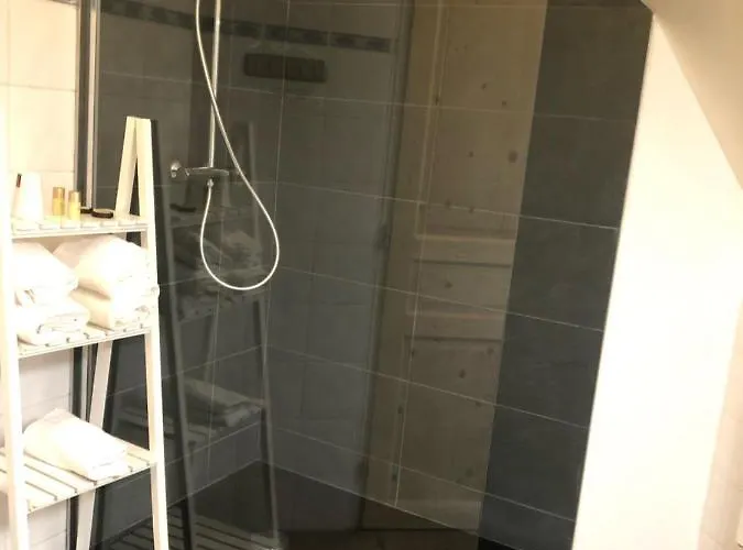 Logis Volcan Sancy 3* Nebouzat